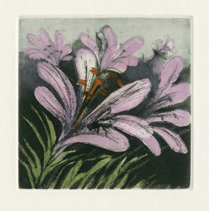 Lot 3822, Auction  120, Vergilius Maro, Publius und Antonini, Annapia - Illustr., Hortulus