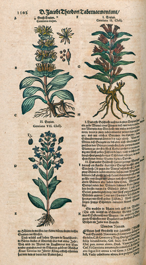 Lot 272, Auction  121, Tabernaemontanus, Jakob Theodor, Neuw vollkommentlich Kräuter-Buch