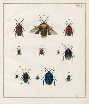 Lot 273, Auction  121, Wolf, Johann Friedrich, Abbildungen der Wanzen mit Beschreibungen