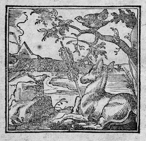 Lot 330, Auction  121, Spelta, Antonio Maria, Sapiens Stultitia. Die kluge Narrheit