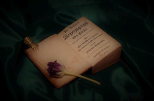 Lot 477, Auction  121, Machiavelli, Niccolò, Regierungskunst eines Fürsten