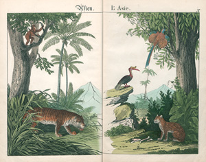 Lot 2231, Auction  121, Schreiber, J. F., Bilder zum Anschauungs-Unterricht für die Jugend. 