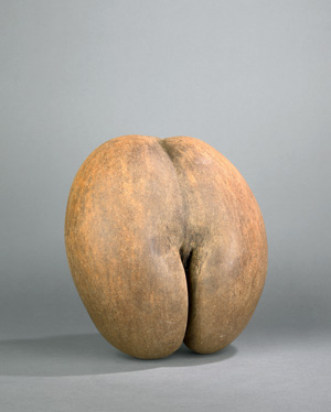 Lot 2840, Auction  121, Coco de Mer, Seychellennuss  teils poliert und mit mehreren Fasern zwischen den Lappen