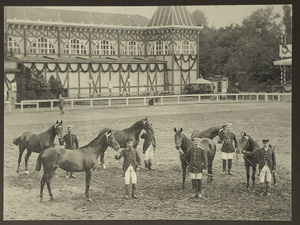 Lot 408, Auction  122, Schoenbeck, Richard,  Album prämiirter und hervorragender Pferde 