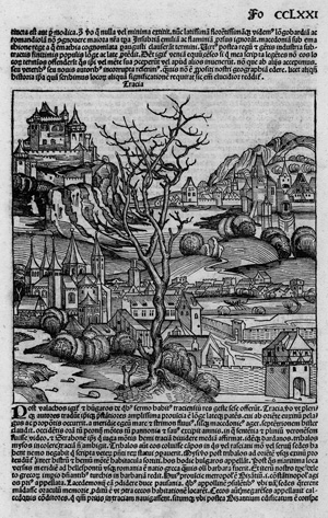 Lot 1032, Auction  122, Schedel, Hartmann, Veduten verschiedener Länder und Gebiete aus dem "Liber chronicarum"