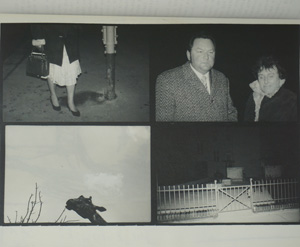 Lot 3603, Auction  122, Liane, Nr. 2, hrsg. von Volker Handloik u. a.