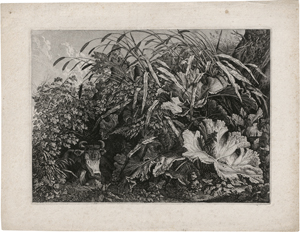 Lot 5311, Auction  122, Kolbe, Carl Wilhelm, Die Kuh im Schilfe