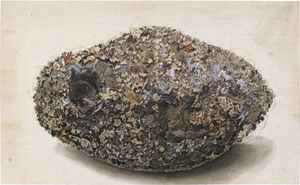 Lot 6679, Auction  122, Deutsch, um 1800. Kobel aus Moos, Flelchten und Blättern