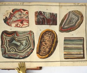 Lot 371, Auction  123, Wünsch, Christian Ernst, Briefwechsel über die Naturprodukte