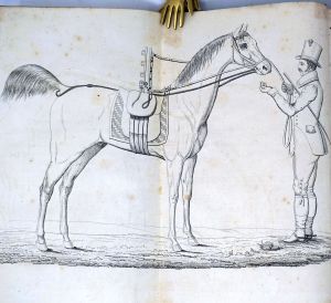 Lot 404, Auction  123, André, Julius Christian Heinrich, Ansichten über die zweckmäßige Behandlung und Dressur des Campagnepferdes