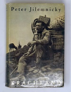 Lot 3451, Auction  123, Jilemnicky, Peter und , Brachland