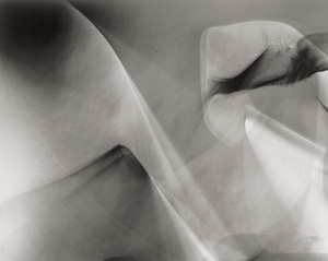 Lot 4206, Auction  123, Jacobi, Lotte, Photogenic abstraction