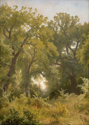 Lot 6167, Auction  123, Douzette, Louis, Waldlandschaft