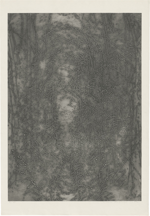 Lot 7295, Auction  123, Kučerová, Alena, Ohne Titel (Waldgraben)