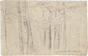 Lot 8016, Auction  124, Corinth, Lovis, Starnberger See (Lichter Wald am Weg)