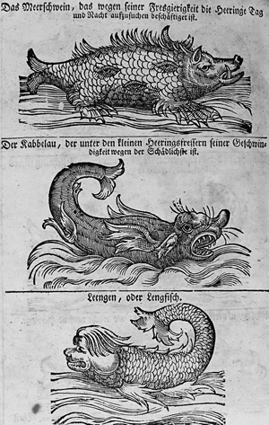 Lot 426, Auction  125, Maschenbauer, Joh. Andreas Erdmann, Der wohlversuchte Referendarius. Augsburg, Selbstverlag, 1750