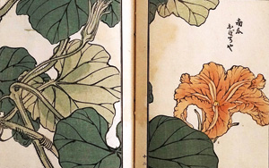 Lot 513, Auction  125, Bairei, Kôno, Kusa Bana Hyakushu (japonice: Hundert Sorten von Blumen). Tokio, Meiji um 1900 