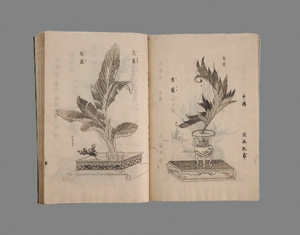 Lot 528, Auction  125, Handbuch für Zimmerpflanzen-Arrangements, Meiji-Blockbuch. Wohl Tokio, Meiji um 1852