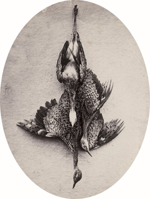 Lot 4019, Auction  125, Baily, Captain N., Hunting trophy