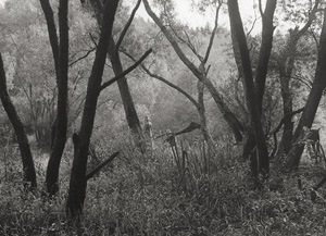 Lot 4236, Auction  125, Renger-Patzsch, Albert, Angler im Möhnedschungel