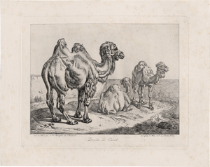 Lot 5380, Auction  125, Klein, Johann Adam, Ca. 32 Blatt aus dem druckgraphischen Œuvre des Künstlers