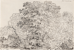 Lot 6802, Auction  125, Kobell, Ferdinand, Waldpartie mit gewundenem Pfad
