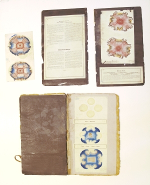 Los 352 - Runge, Friedrich Ferdinand - Der Bildungstrieb der Stoffe - 10 - thumb