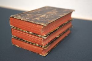 Los 363 - Bloch, Marcus E. - Ökonomische Naturgeschichte der Fische Deutschlands - 4 - thumb