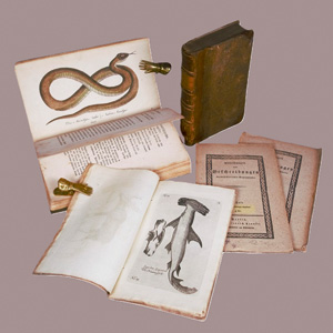 Lot 367, Auction  126, Erxleben, Johann Christian Polycarp, Anfangsgründe der Naturgeschichte (+ 2 Beigaben)