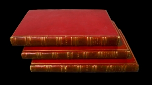 Los 372 - Levaillant, François - Histoire naturelle des oiseaux. Paris 1801-1818 - 34 - thumb