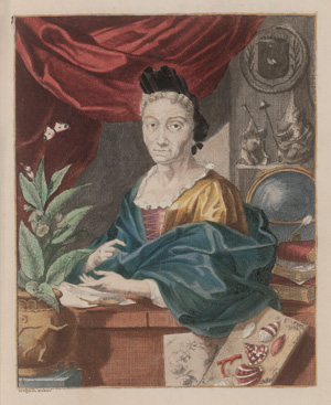 Los 374 - Merian, Maria Sibylla - Erucarum ortus - 0 - thumb