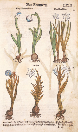 Lot 1184, Auction  126, Rößlin, Eucharius, Kreuterbuch, von natürlichem Nutz, und gründtlichem Gebrauch der Kreutter