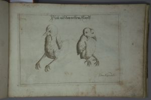 Los 1269 - Schmuck, Friedrich Wilhelm - Fasciculus admirandorum naturae - 9 - thumb