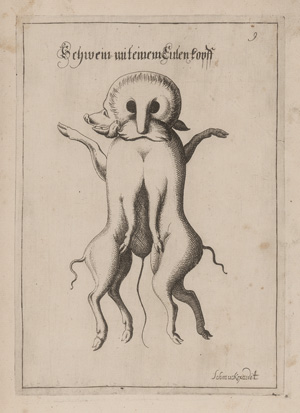 Lot 1269, Auction  126, Schmuck, Friedrich Wilhelm, Fasciculus admirandorum naturae