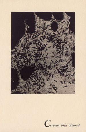 Lot 3430, Auction  126, Man Ray, La photographie n'est pas l'art. Paris 1937