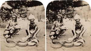 Los 4021 - Ceylon - Sinhalese temple dancers, chiefs, monks, craftsmen, and street performers - 2 - thumb