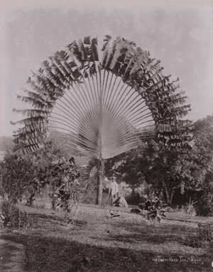 Los 4089 - Singapore - Views of Singapore - 1 - thumb