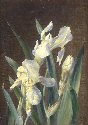 Lot 6220, Auction  126, Dänisch, 1901. Studie mit weißen Iris
