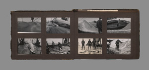Los 199 - Walfang vor Island - Fotoalbum mit ca. 140 meist Silbergelatine-Fotos - 1 - thumb
