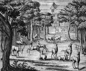 Lot 369, Auction  127, Florinus, Franz Philipp, Oeconomus prudens et legalis continuatus