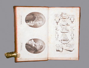 Lot 392, Auction  127, Collingwood, Francis und Woollams, John, Neues Londner Kochbuch