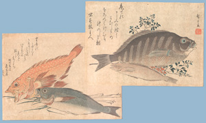 Los 617 - Hiroshige, Ando Ichiryusai - 3 farbige Ukiyo-e-Holzschnitte aus der Serie "Die großen Fische" - 0 - thumb