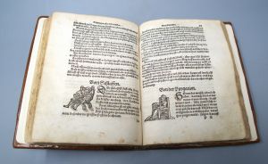 Los 1077 - Astronomia - Des Himmels Lauffes Wirckung unnd Natürlicher Influentz der Planeten, Gestirn und Zeychen - 12 - thumb