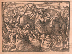 Lot 1115, Auction  127, Estienne, Charles und Liébault, Jean,  XV Bücher von dem Feldbau