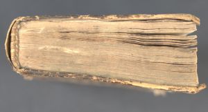 Los 1191 - Reusner, Hieronymus und Epimetheus, Franciscus - Pandora, das ist die edelste Gabe Gottes oder der werte und heilsame Stein der Weysen - 6 - thumb