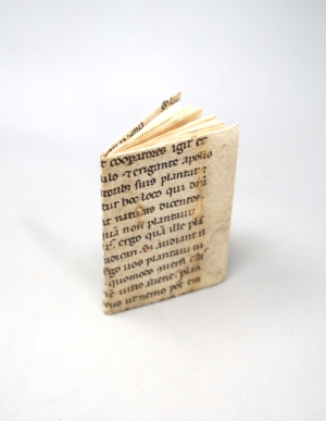 Los 1212 - Vislicza, Michael de - Ephemeridiarium Anni Christi 1536.  - 2 - thumb