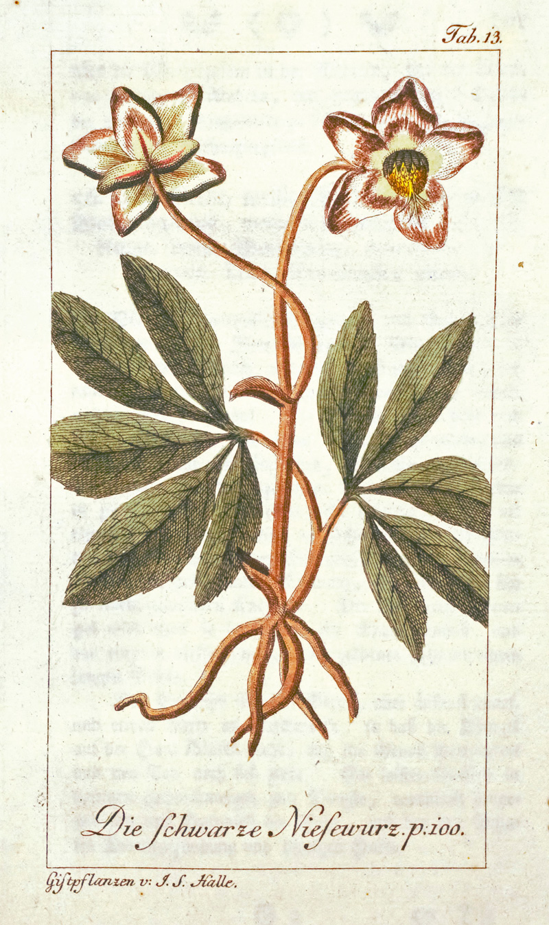 Lot 352, Auction 127, Halle, Johann Samuel, Die deutsche Giftpflanzen. Band I. Wien, Trattner, 1785