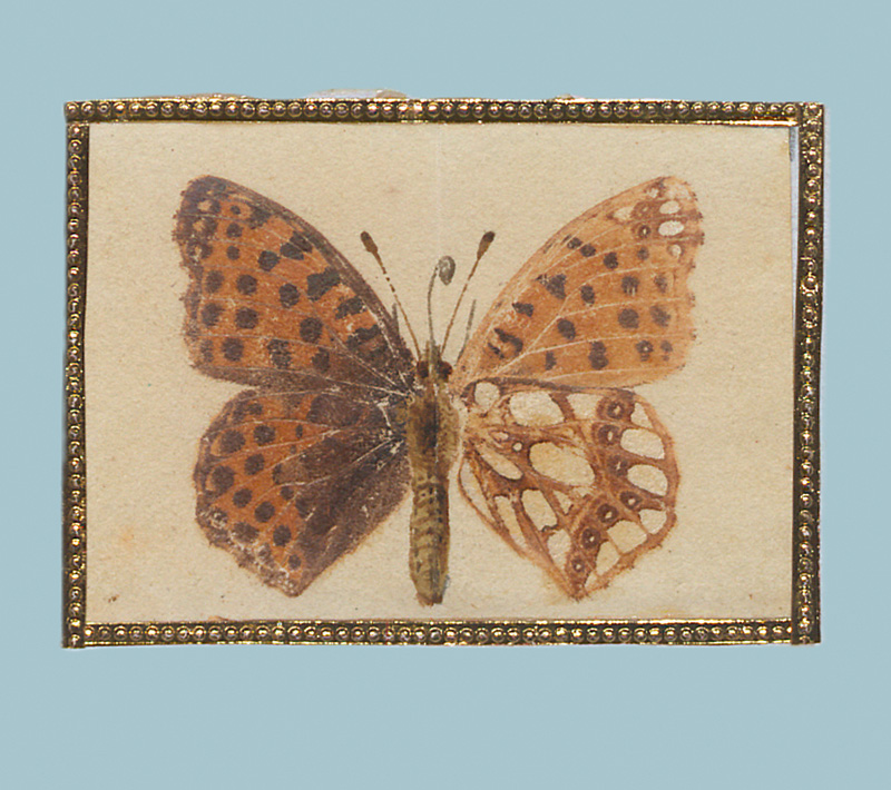 Lot 362, Auction 127, Spätbiedermeierliche Sammlung von ca. 135 aquarellierten Naturselbstdrucken, von verschiedenen Schmetterlingen und Motten